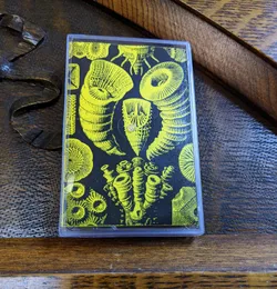 Ammonite Chamber Exploration / Devonian Dawn von Devonian Dawn – Cover