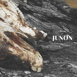 Carcosa von Junon – Cover