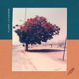 morning might turn things around von Flaws – Album Cover