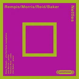 Nettles von Dave Rempis – Album Cover