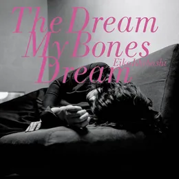 The Dream My Bones Dream von 石橋英子 – Album Cover