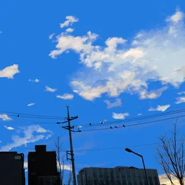 White Ceiling / Black Dots Wandering Around von 파란노을 – Album Cover
