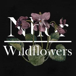 Wildflowers: Winter von Nhor – Cover