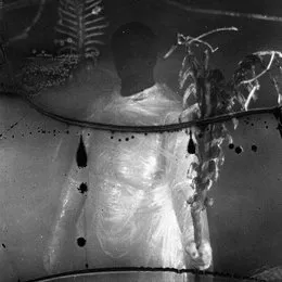 Preservation Rituals (2015 - 2018) von Vile Creature – Cover