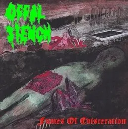 Fumes of Evisceration von Offal Stench – Cover