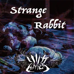 Strange Rabbit von リリカ – Cover