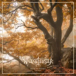 Unter bronzenen Kronen von Waldgeflüster – Album Cover