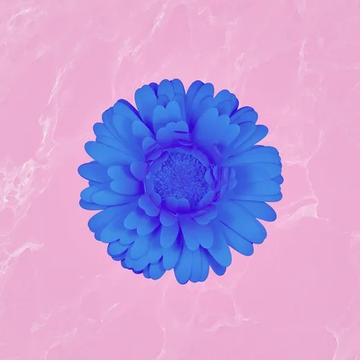 Maybe (Stripped)