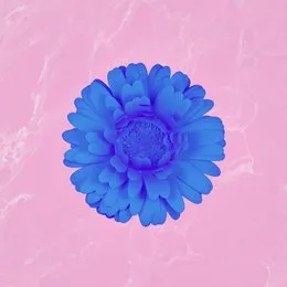 Maybe (Stripped) von Future Palace – Album Cover