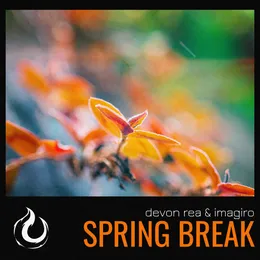 Spring Break von imagiro – Album Cover