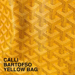 Yellow Bag von Bartofso – Album Cover