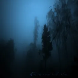 The Rain That Falls Alone… von Sadness – Album Cover