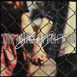 Shine On von The Amity Affliction – Album Cover
