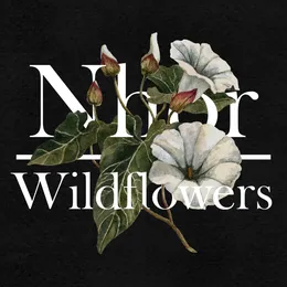 Wildflowers: Summer von Nhor – Cover
