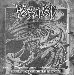 Violent Disembowelment of Hatred von Hatefilled – Cover