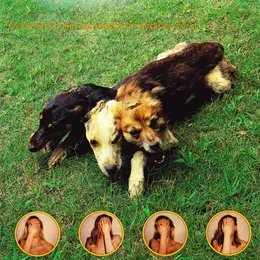 Ten Songs for Another World von Skin – Album Cover
