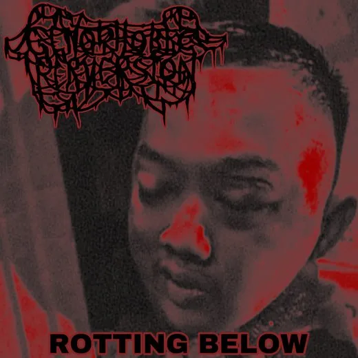 Rotting Below