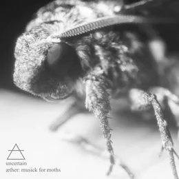 Æther: Musick for Moths von Uncertain – Album Cover