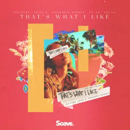 That's What I Like von Diviners – Album Cover