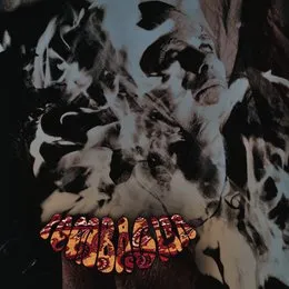 Flesh Throne Press von Pombagira – Album Cover