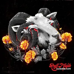 Elektrik Ram von Ruff Majik – Album Cover