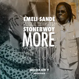 More of You (Booker T Remixes) von Emeli Sandé – Cover