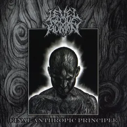 Final Anthropic Principle von Level Above Human – Cover