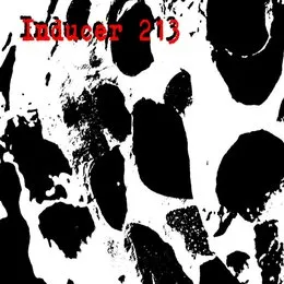 Inducer 213 von Pyroclastic – Cover