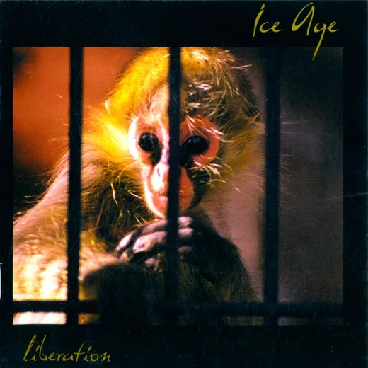 Liberation