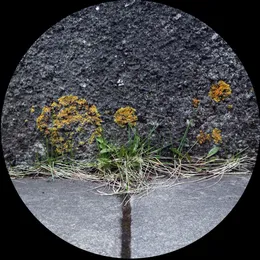 MOA048 von Min‐Y‐Llan – Cover
