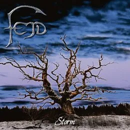 Storm von Fejd – Album Cover