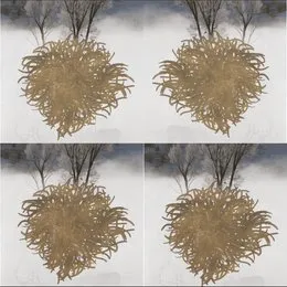 𝔵𝔵𝔵 von 𝔪𝔬𝔲𝔫𝔱 – Album Cover