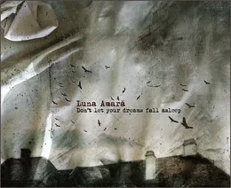 Don't Let Your Dreams Fall Asleep von Luna amară – Album Cover