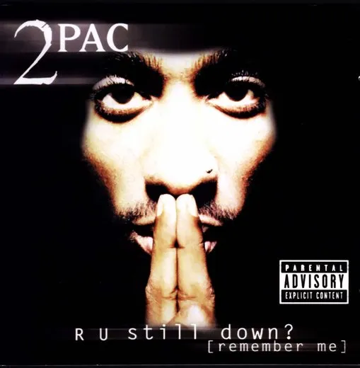 R U Still Down? (Remember Me)