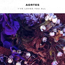 I've Loved You All von Aortes – Cover