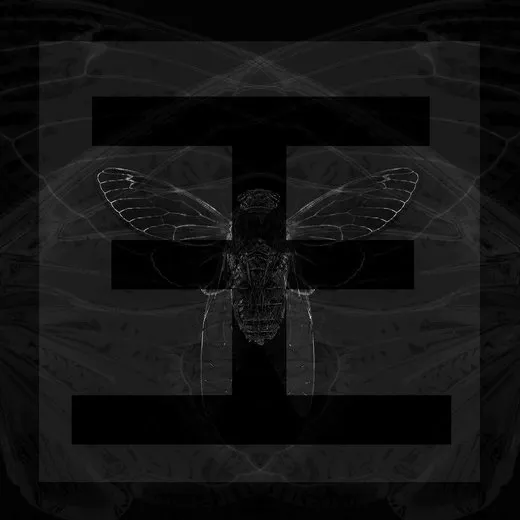 Cicada (Instrumental)