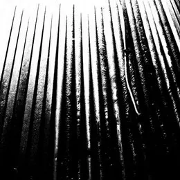 Shadowbreather von The Crinn – Album Cover