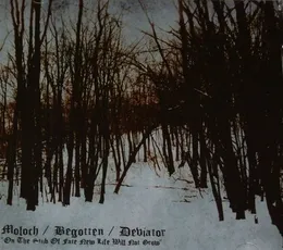On the Stub of Fate New Life Will Not Grow von Deviator – Album Cover