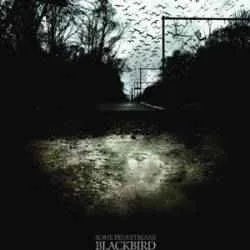 Blackbird von Some Pedestrians – Album Cover