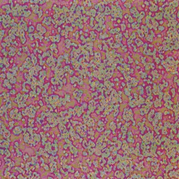 Floating.Point von Robert Henke – Album Cover