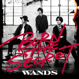 BURN THE SECRET von WANDS – Album Cover
