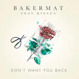 Don't Want You Back von Bakermat – Cover