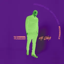 Moonwalk von TE dness – Cover