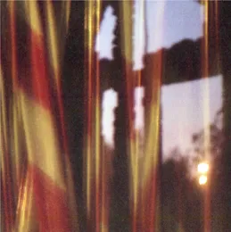 Dachy von Gołębie – Cover