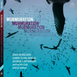 Murmuration von Dave Sewelson – Album Cover