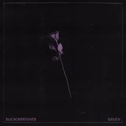 Teeth von Bleachdrinker – Cover