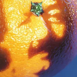 A Picture of Nectar von Phish – Album Cover