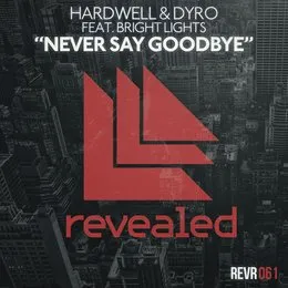 Never Say Goodbye von Dyro – Cover