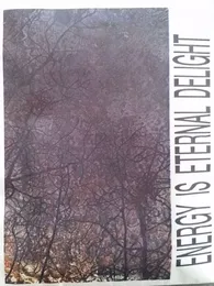 Energy is Eternal Delight von Thunder Orchestra – Album Cover