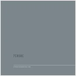 7C858C von UNDISCLOSED – Album Cover